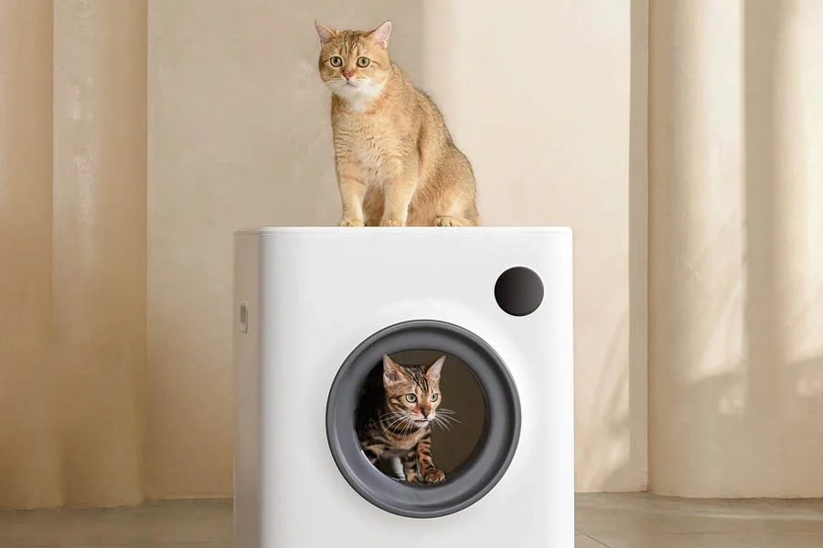 smell free litter box